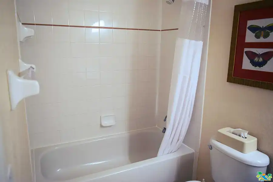Master ensuite bath with over-tub shower