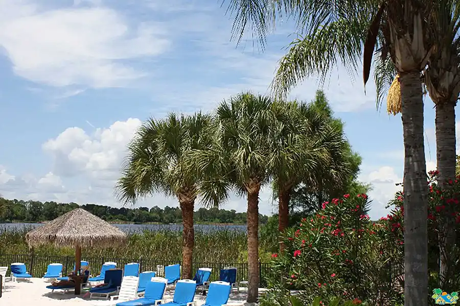 The Tradewinds beach area with sun beds