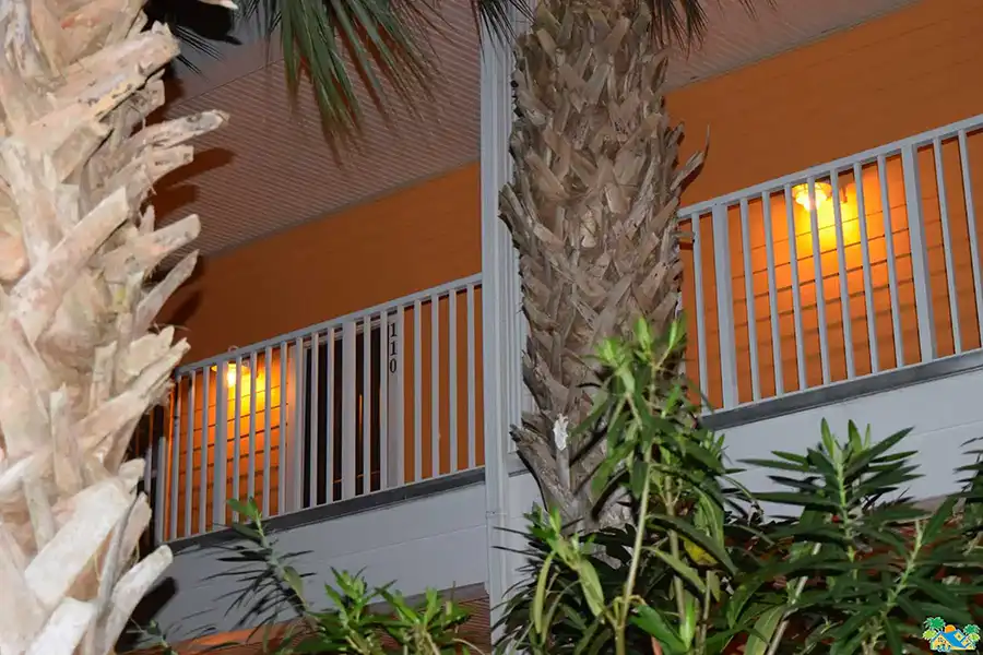 Night-time view looking up from the sidewalk in front of building #9