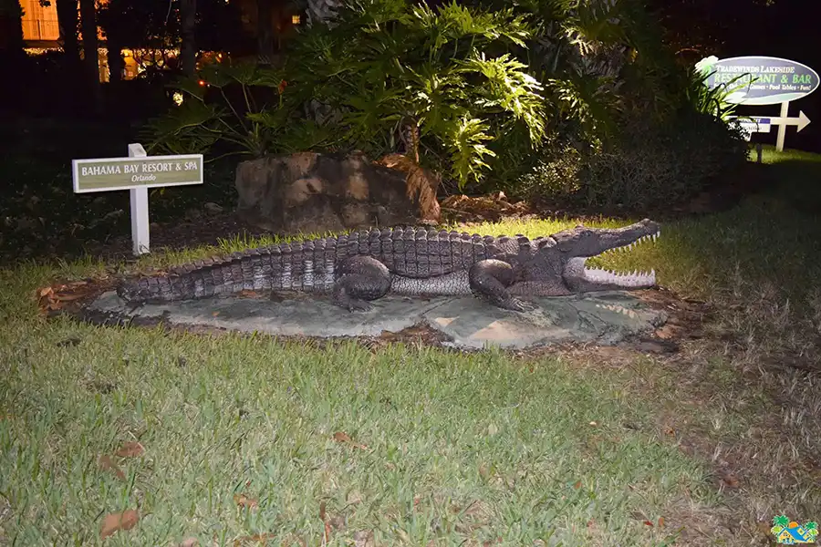 Gary the alligator. Don't worry, this one's not real