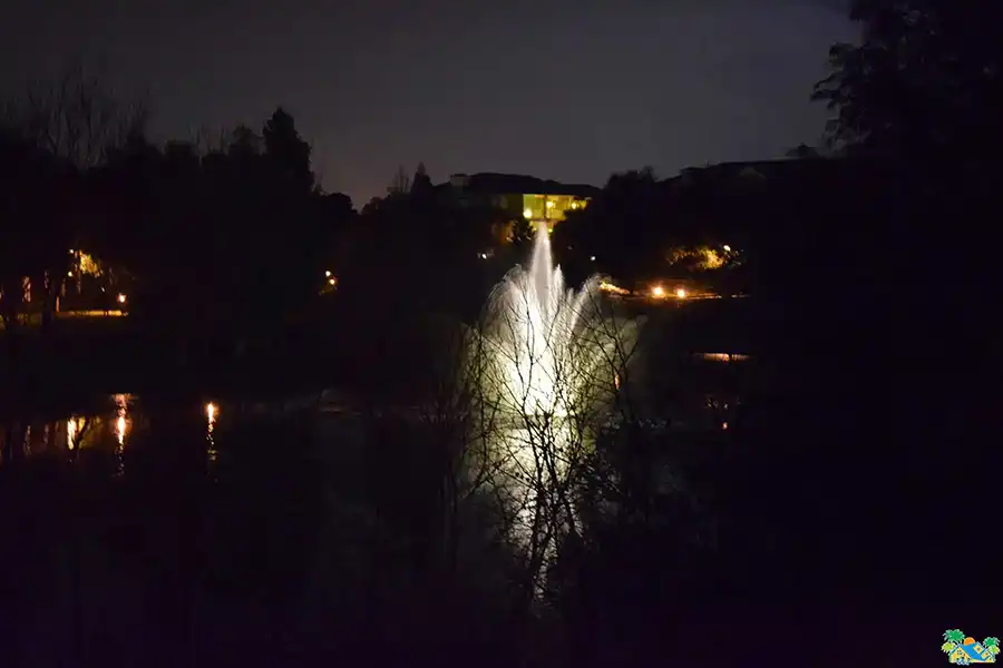 One of the ponds on site with an illuminated fountain