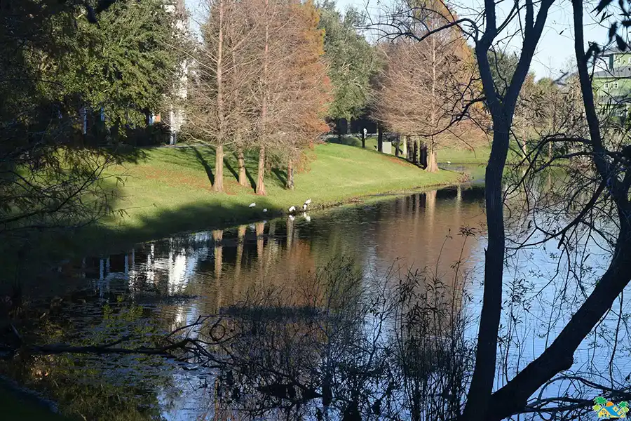 Local Wildlife 1